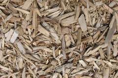 biomass boilers Pen Common