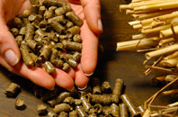 free Pen Common biomass boiler quotes